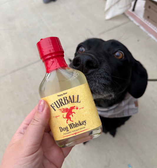 FURBALL DOG WHISKEY