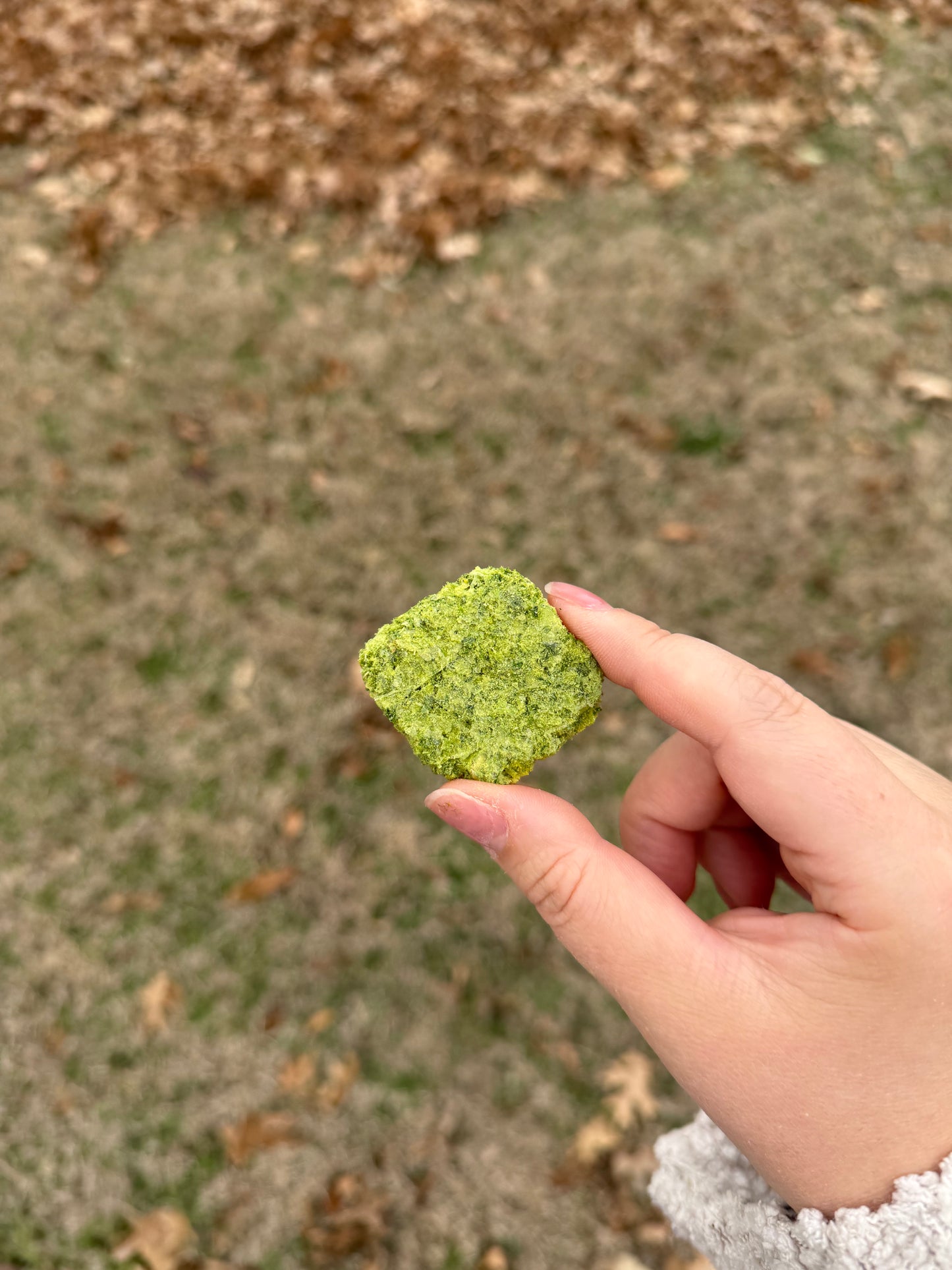 MONSTER PUFFS