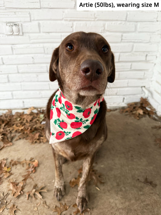 Tomato Bandana