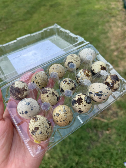 WHOLE QUAIL EGGS