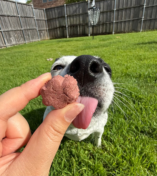 Party Flavor Biscuits