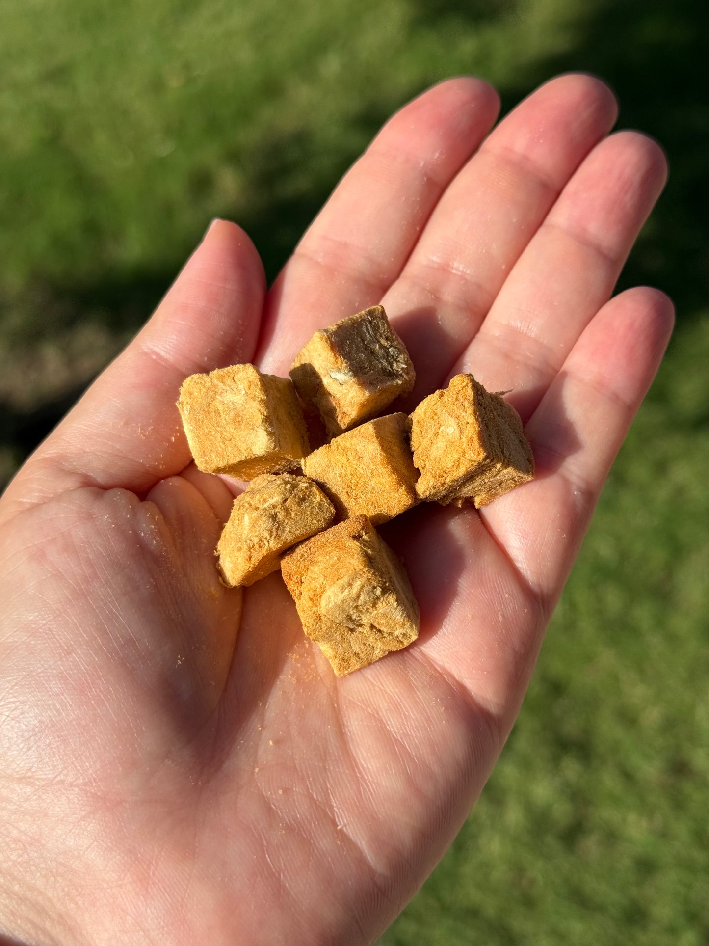 SALMON BITES