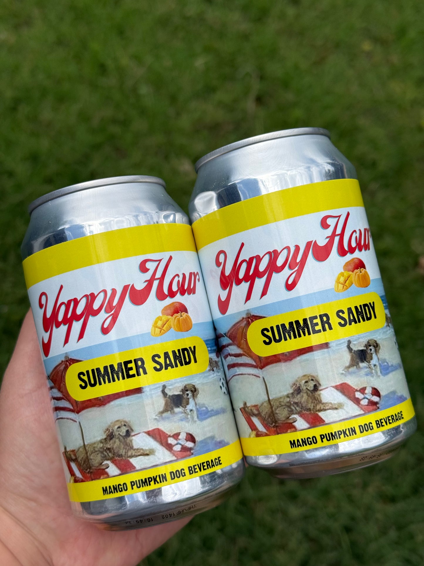 SUMMER SANDY DOG BEER