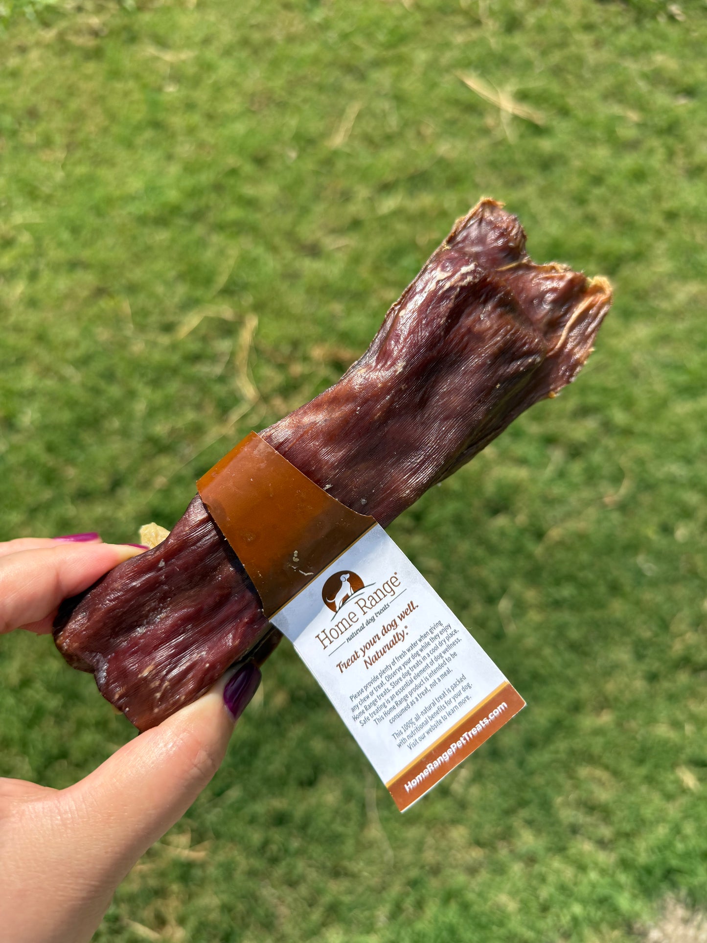 SKIRT STEAK BAR