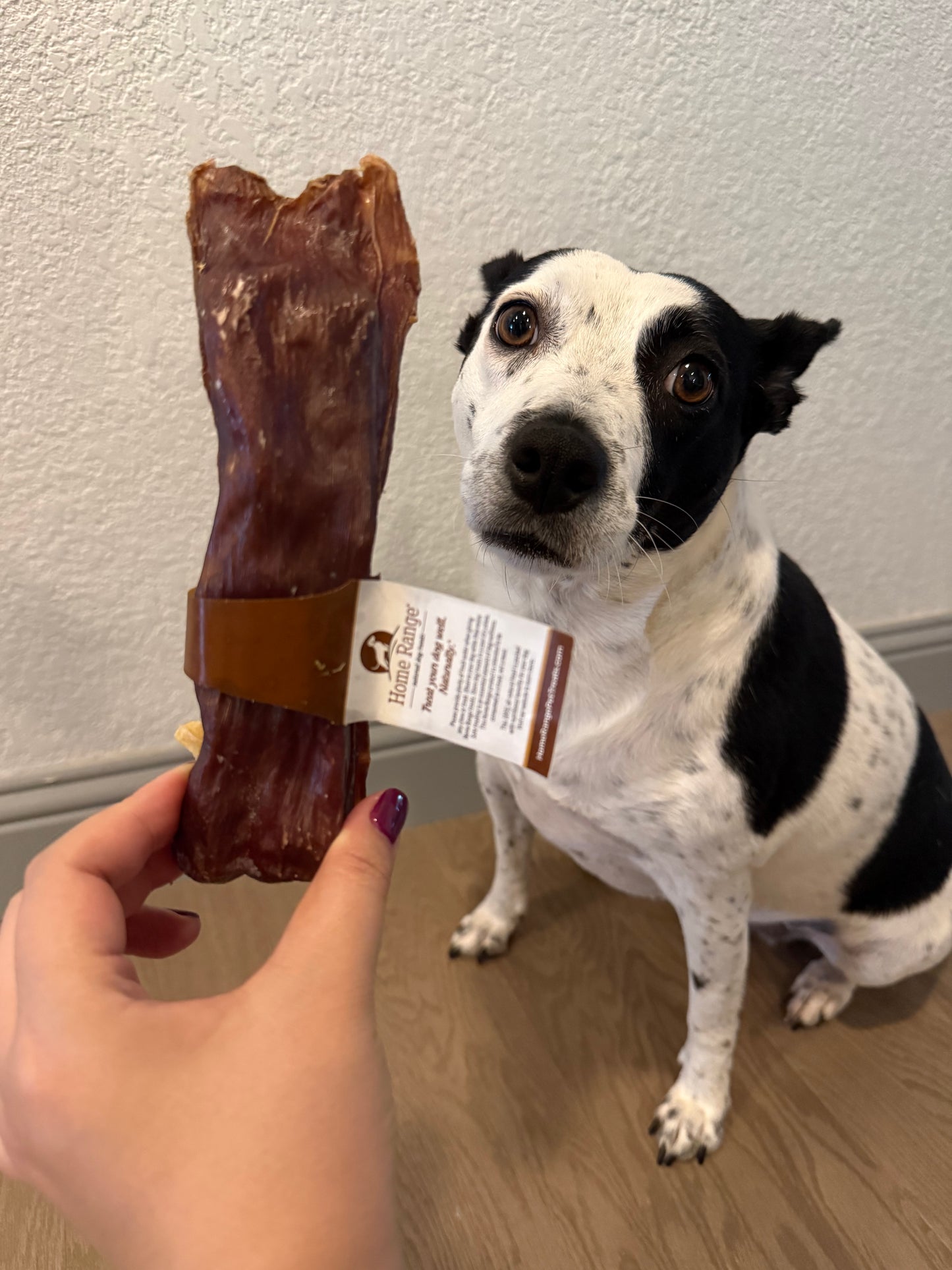 SKIRT STEAK BAR