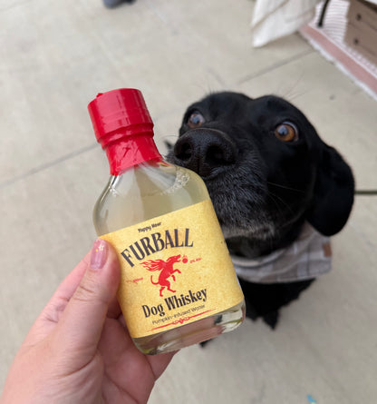 FURBALL DOG WHISKEY