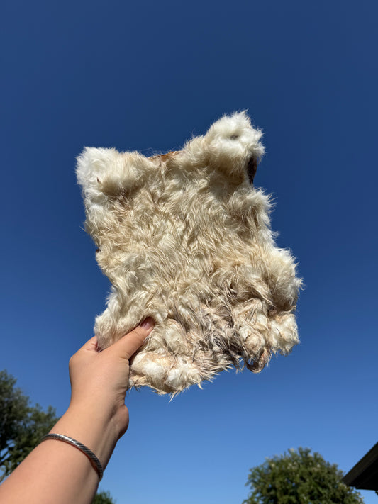 RABBIT HIDE PLATTER