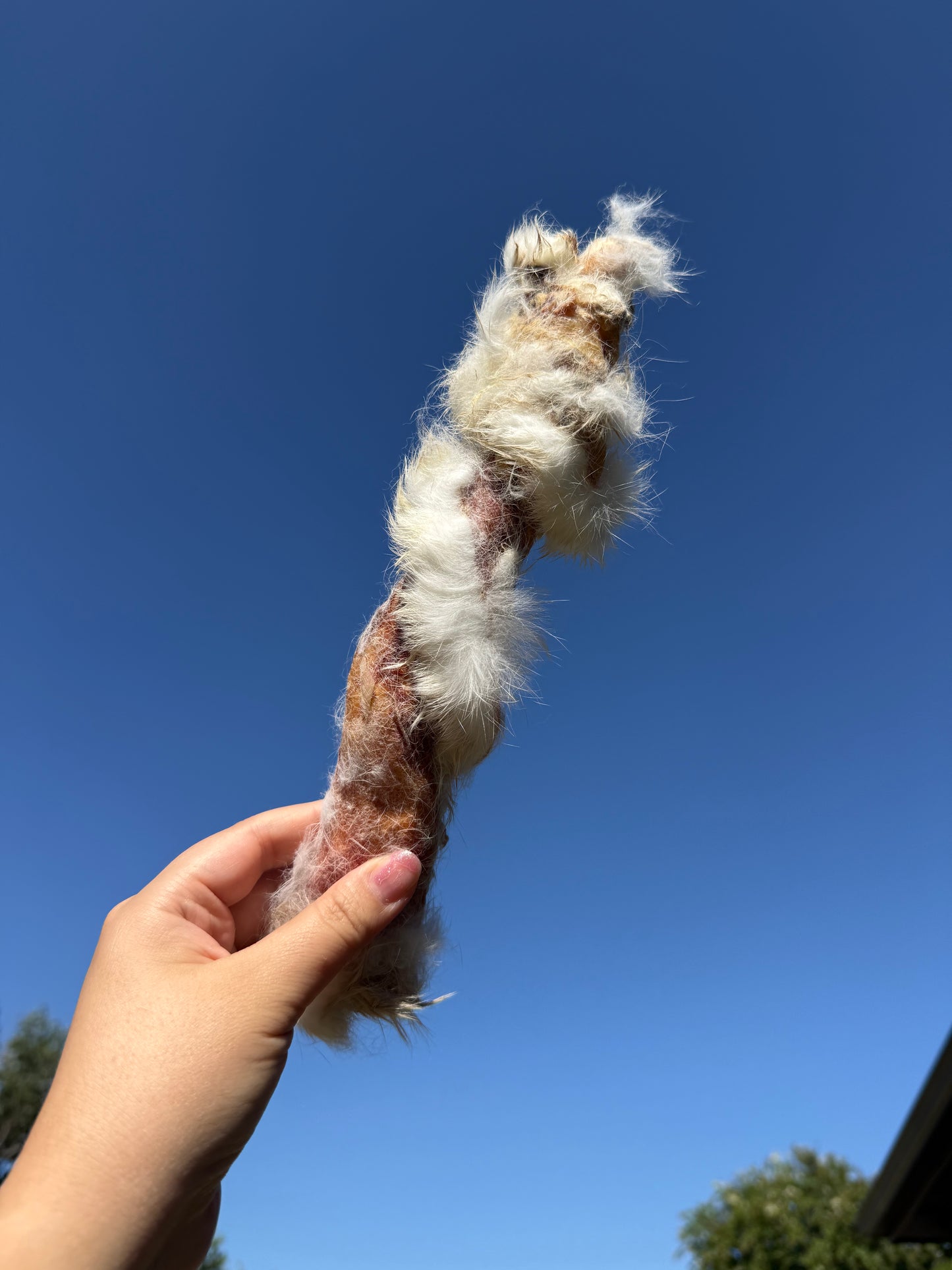 RABBIT HIDE TWISTS