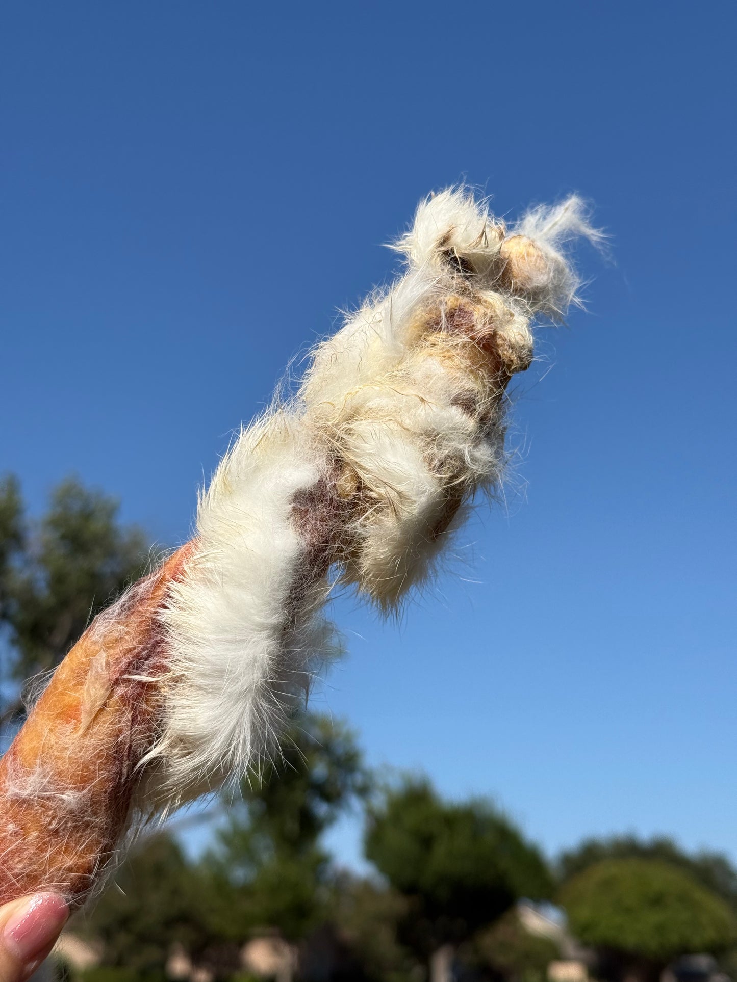 RABBIT HIDE TWISTS