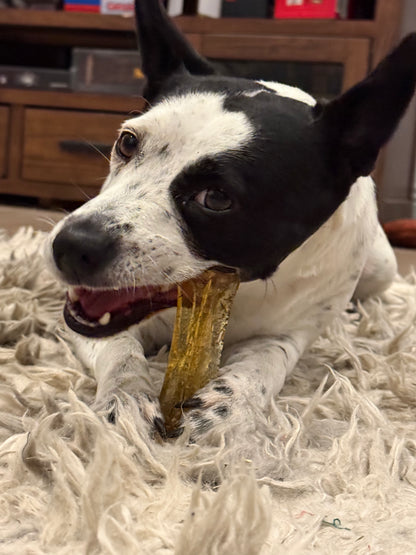 COLLAGEN DENTAL CHEW