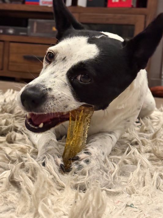 COLLAGEN DENTAL CHEW