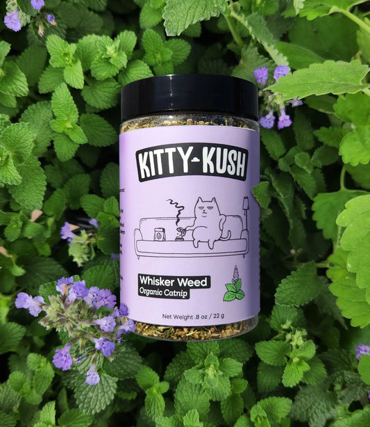 KITTY KUSH CATNIP
