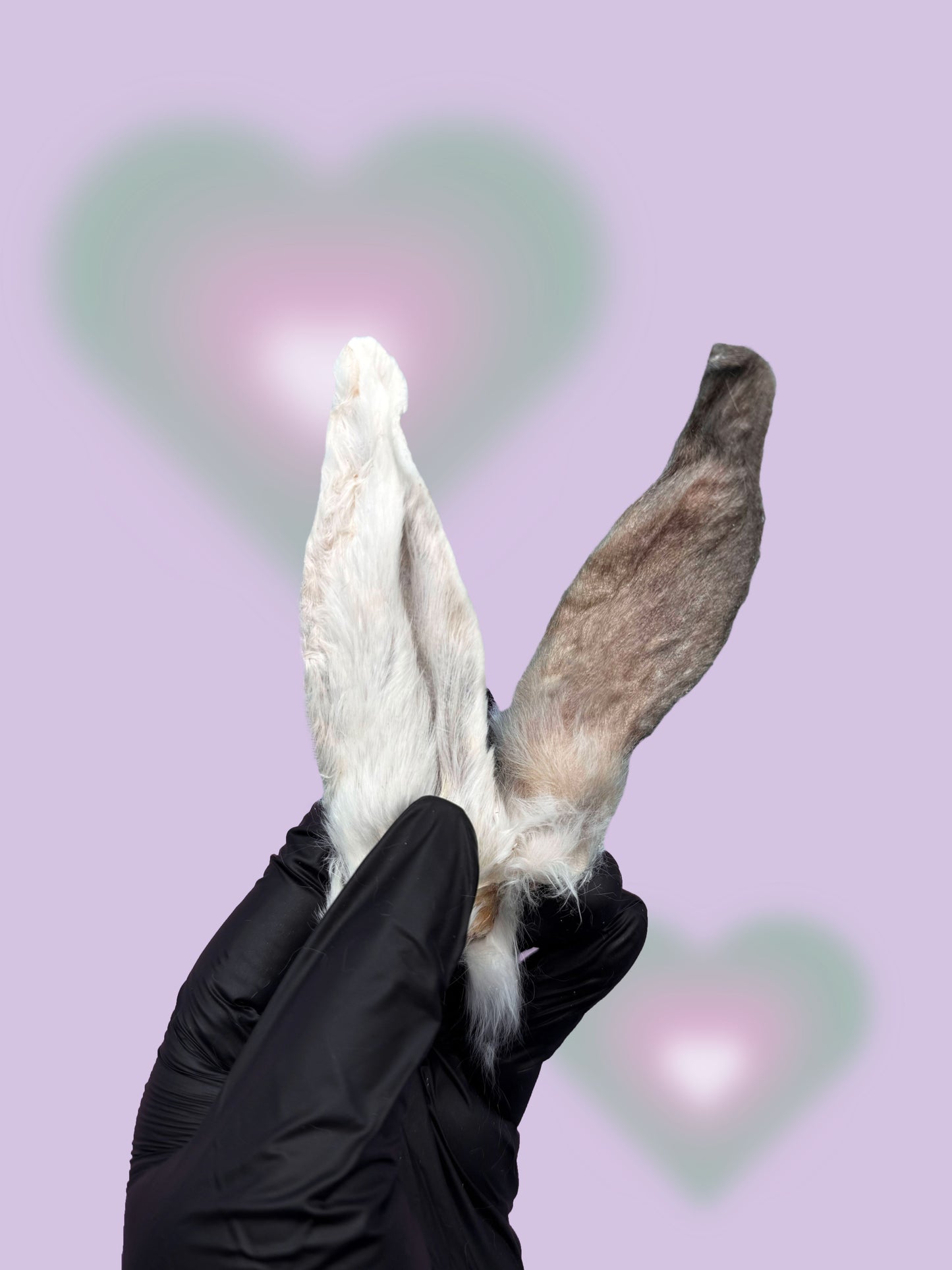 Freeze Dried Rabbit Ears for dogs