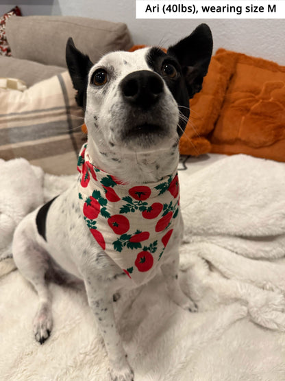 Tomato Bandana