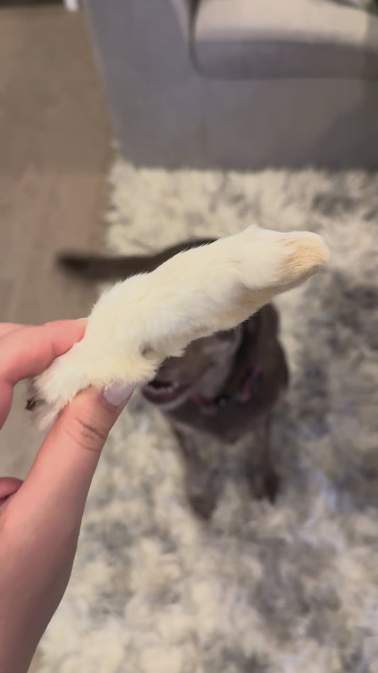 RABBIT FEET (FRONT/BACK)